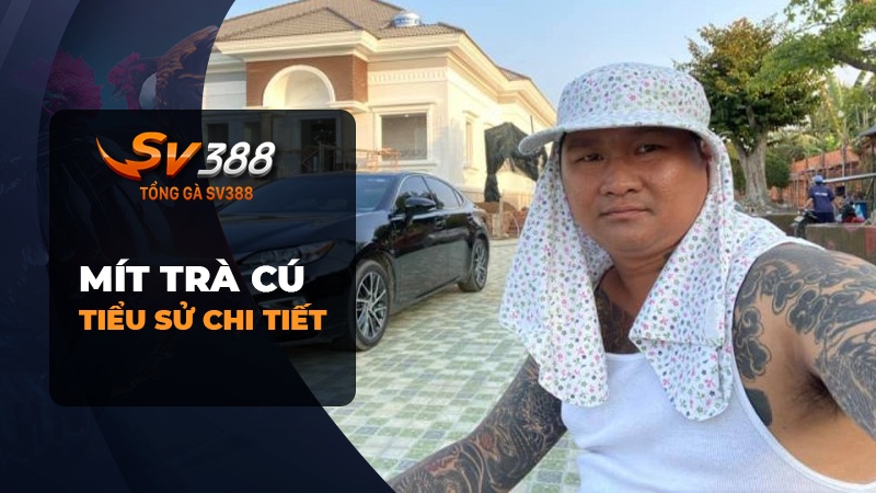 Mít Trà Cú là ai? Ghé thăm trại gà Mít Trà Cú