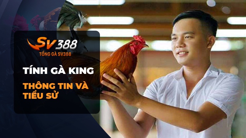 Tính Gà King là ai? Ghé thăm trại gà Tính Gà King