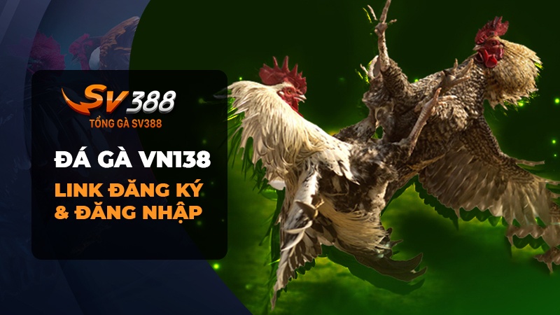 Đá gà VN138 | Link đăng ký & đăng nhập VN138