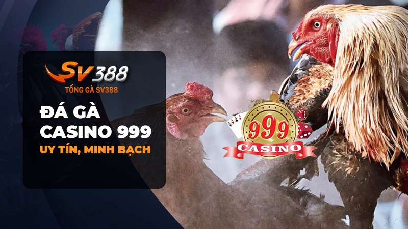 Đá gà casino 999 | Uy tín, minh bạch và an toàn