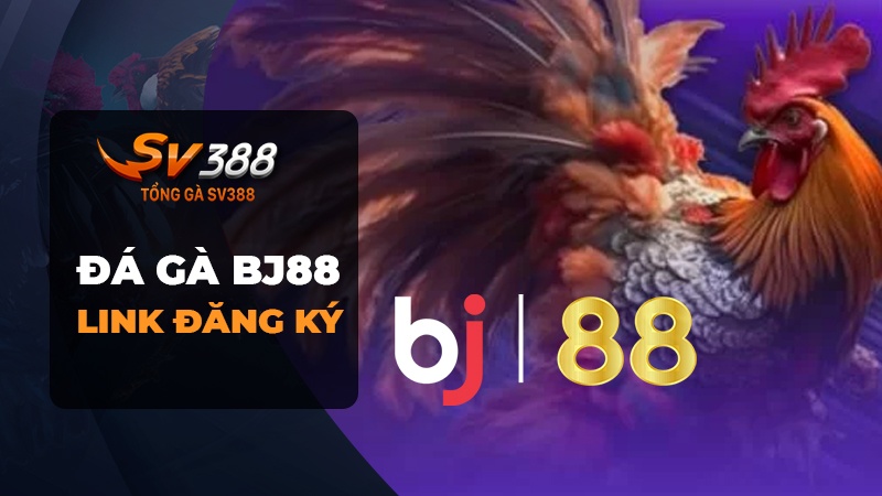 Đá Gà BJ88 - Link đăng ký đá gà BJ88