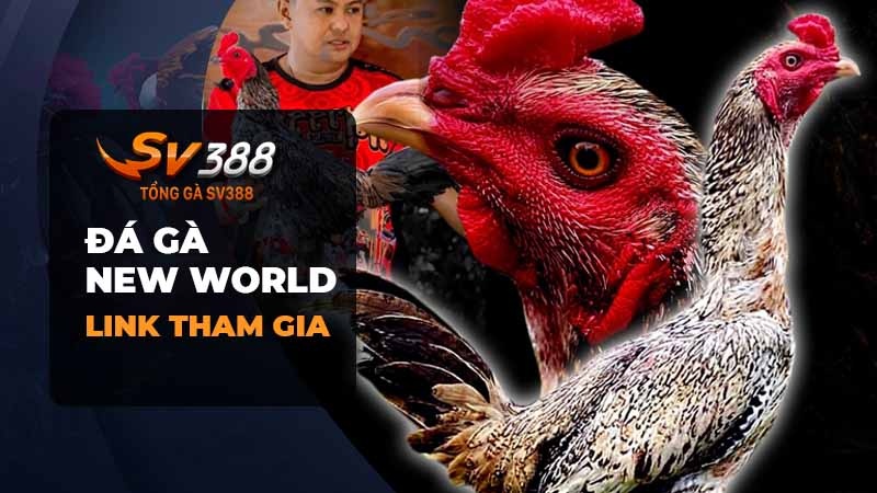 Đá gà New World | Link tham gia đá gà New World